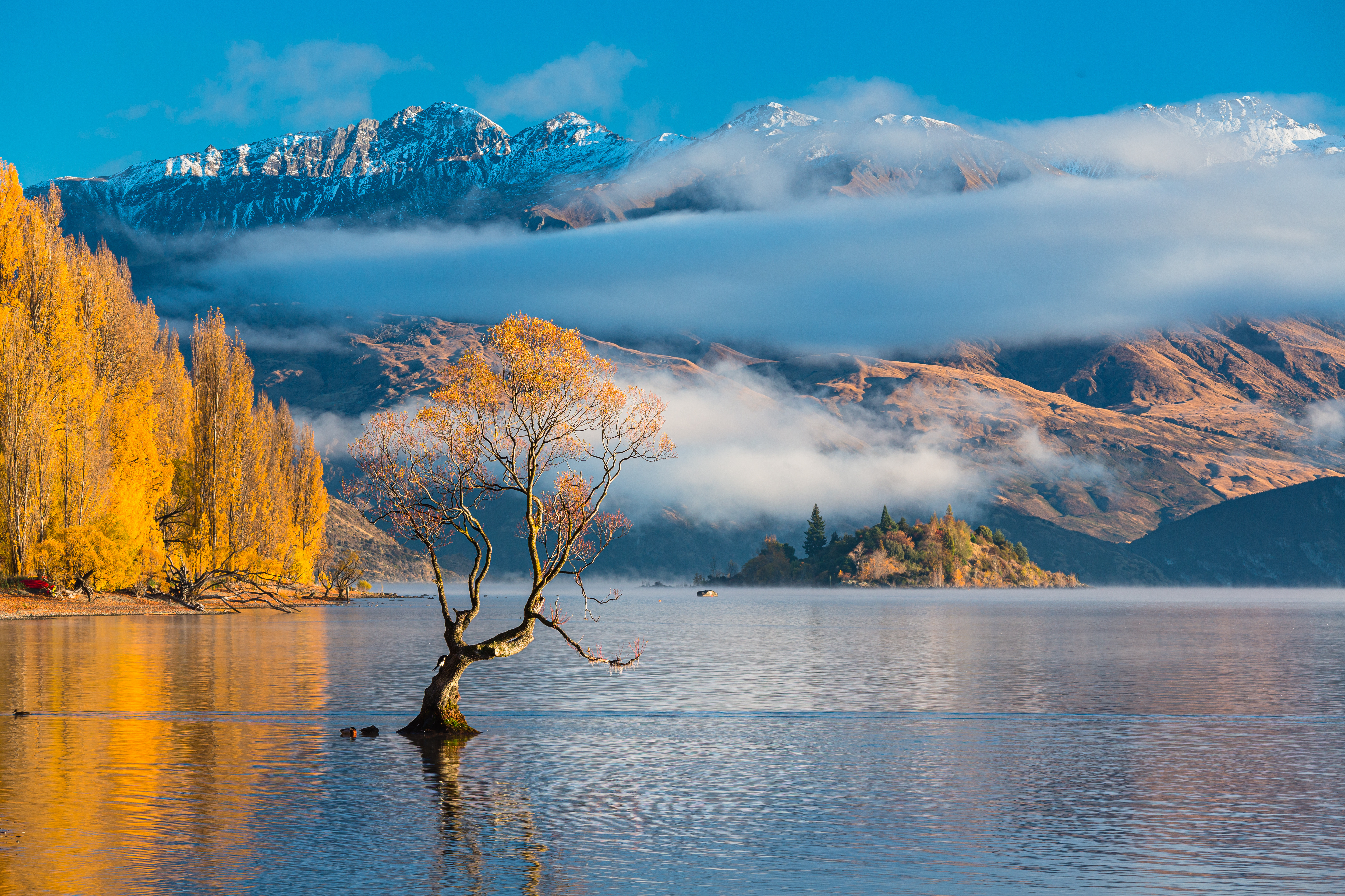 Lake Wanaka